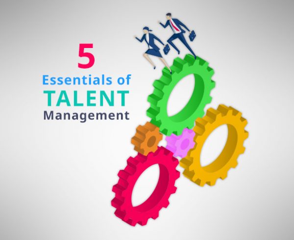 5 essentials talent management career pathing succession planning talent management software