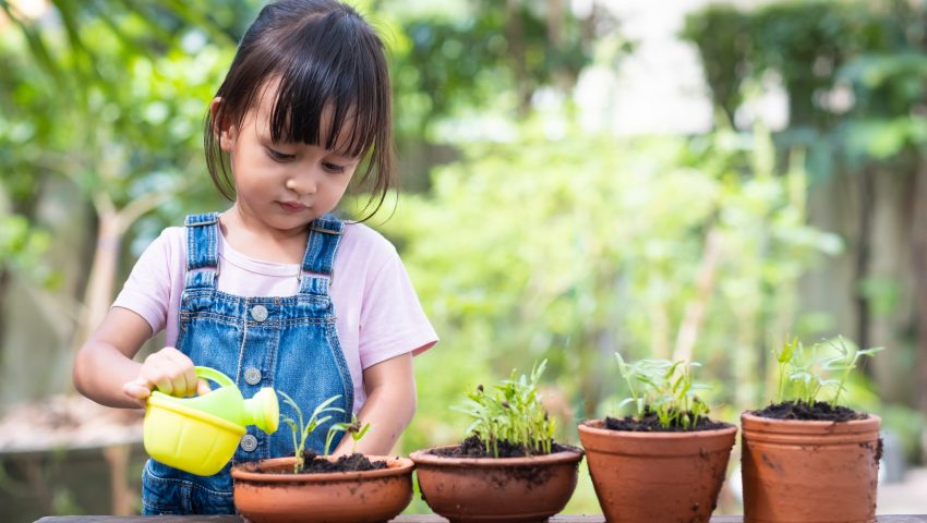 Alt=Child growing plants as a metaphor for learning and development