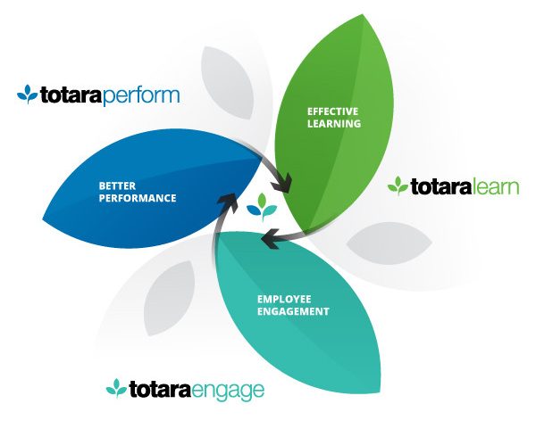 Enovation Totara Talent Experience Platform
